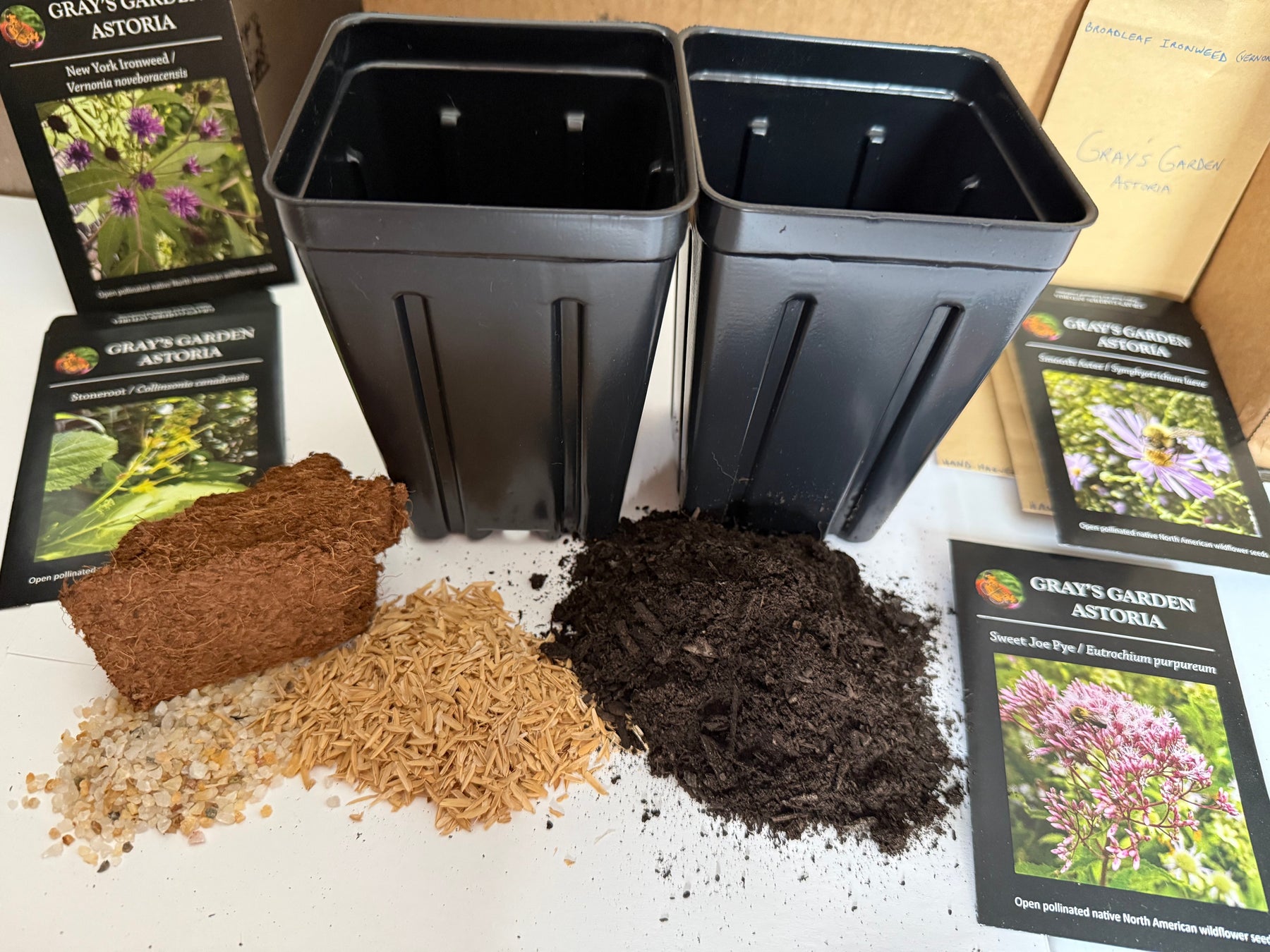 Now is the perfect time to plant your native seeds