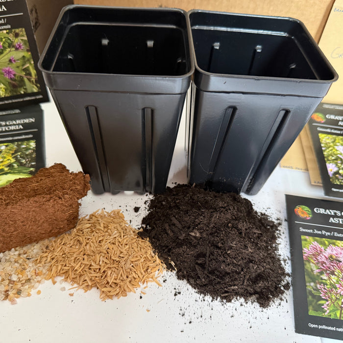 Now is the perfect time to plant your native seeds