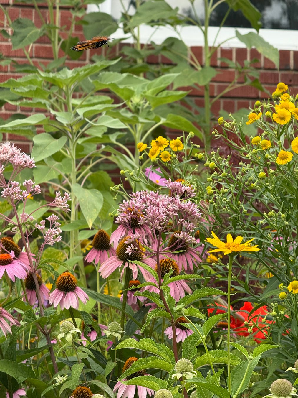 Floral garden with pink, yellow, and red flowers in front of a brick wall.