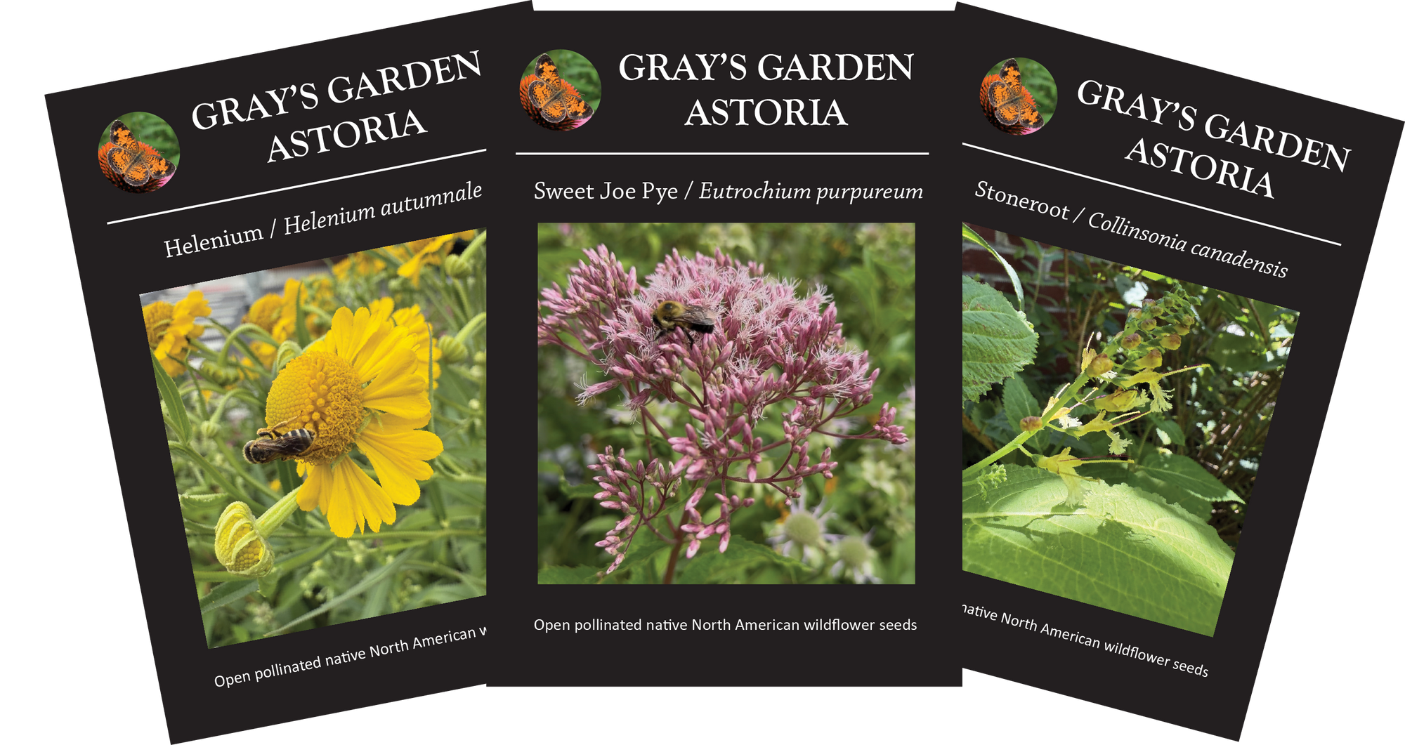 Three seed packets from Gray's Garden Astoria with images of flowers and plants.